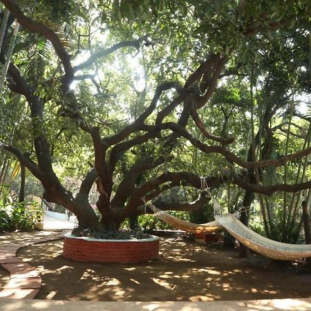 מלון אליבג Outpost@Alibaug מראה חיצוני תמונה